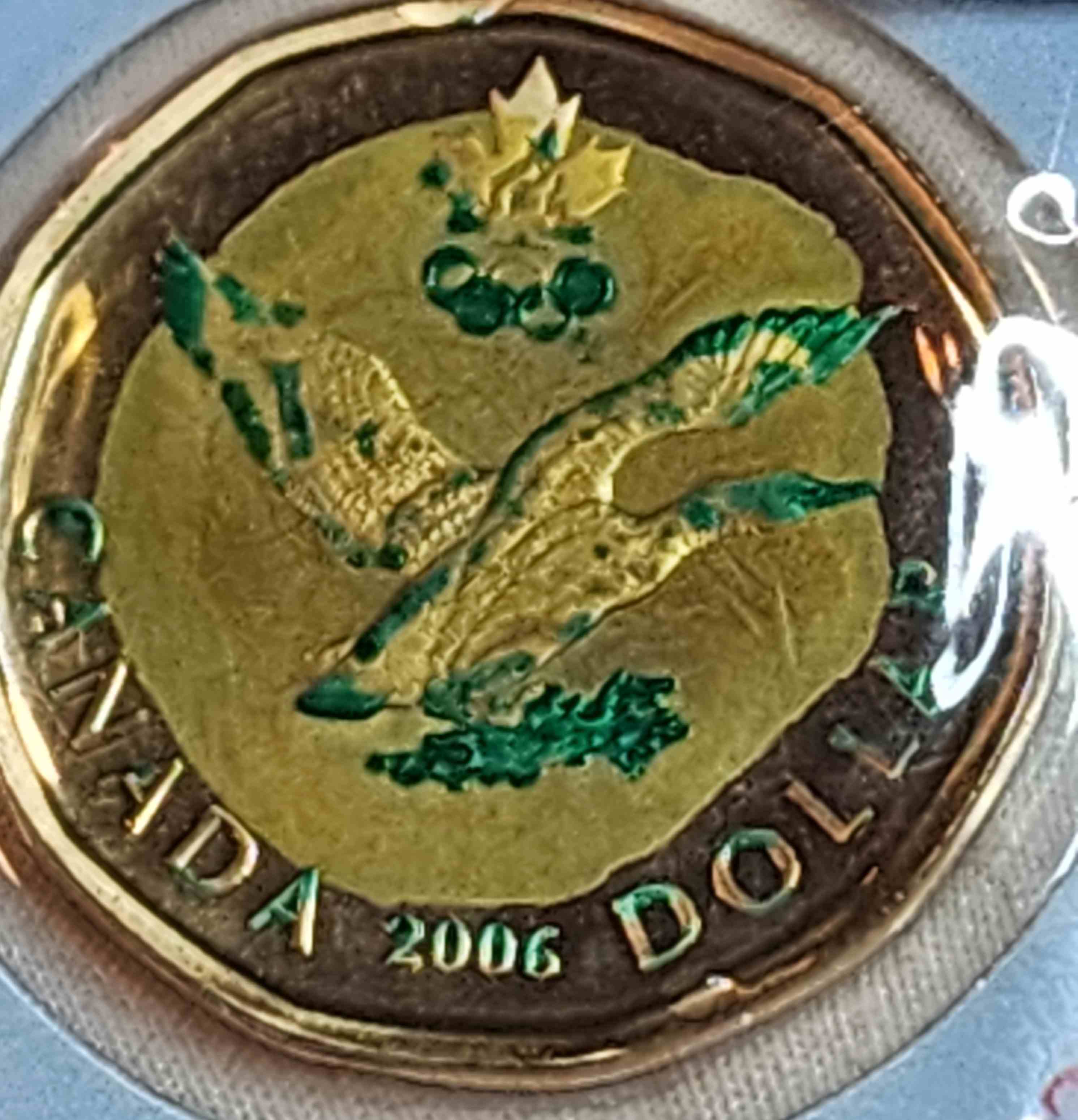 2006-Unlucky-Loonie-Damage?